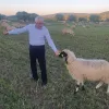 Intervenție decisivă a lui Petre Daea în legătură cu protestul oierilor
