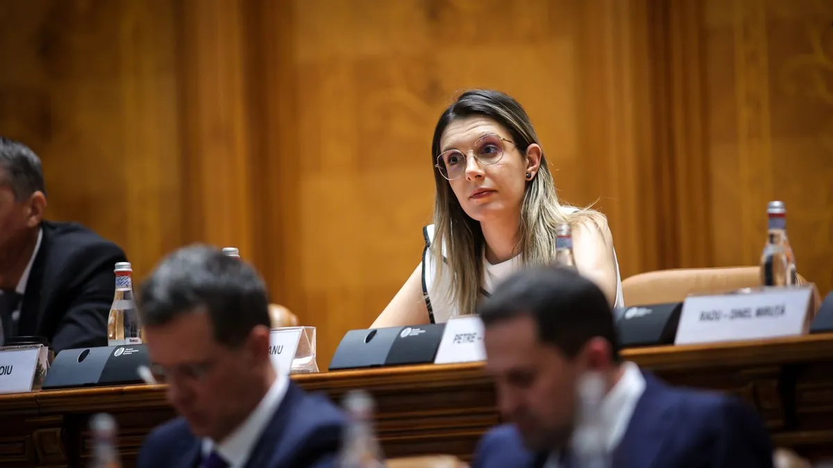 Anatomia unei manipulări: „Bolojan o ceartă pe ministra Buzoianu, dar nu o demite” Foto: Facebook