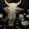 Cazul „Bau”, psihologii explică manipularea (sursa: Pexels/cottonbro studio)