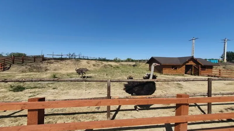 Penalul Alexe își face grădină zoologică (sursa: ziaruldeiasi.ro)