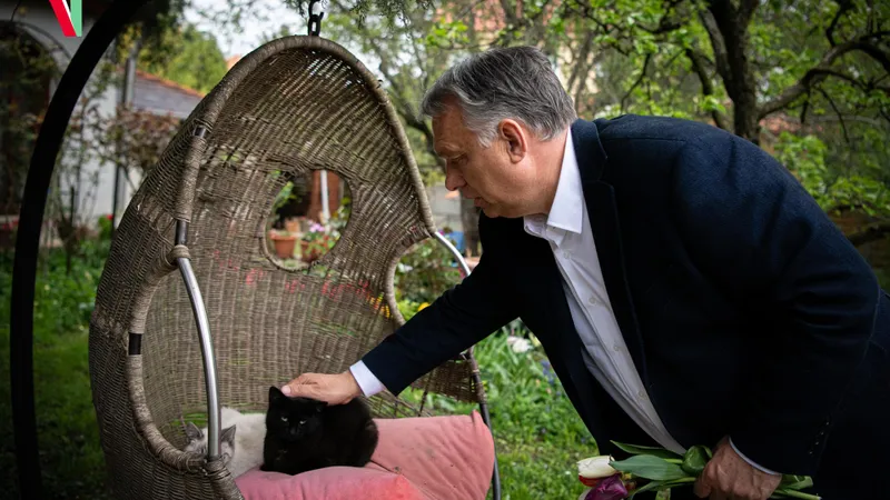 Fondurile de pensii facultative din Ungaria au pierdut  Foto: Facebook Viktor Orban