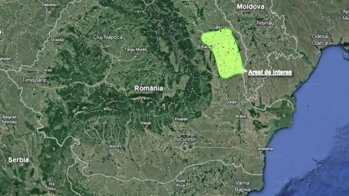 Pârșul moldovenesc din Miocenul Superior, descoperit (sursa: ziaruldeiasi.ro)