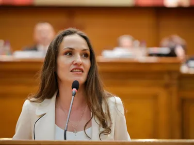 USR nu va susține impozitarea progresivă (sursa: Facebook/Oana Țoiu)