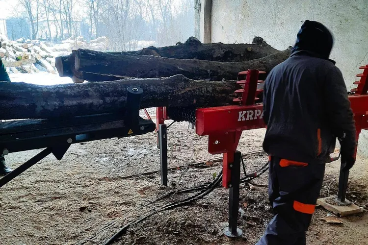 Romsilva sancționată, lipsa actelor de transport (sursa: Facebook/Romsilva)