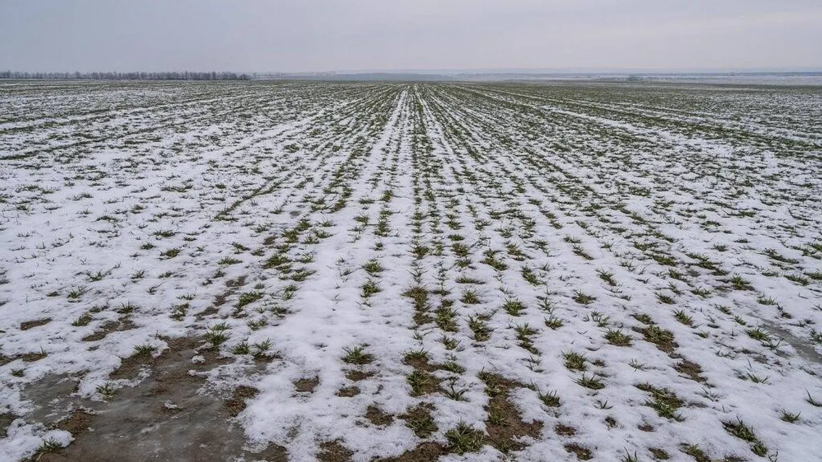 Agricultura românească între recolte și pierderi (sursa: ziaruldeiasi.ro)