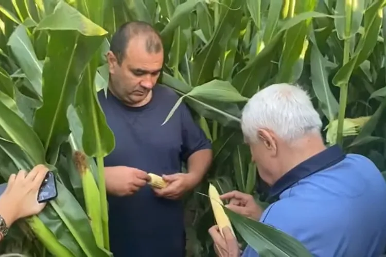 Încă un pensionar special în Guvern: Petre Daea Foto: captură YouTube