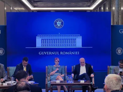 Olguța Vasilescu continuă să-l troleze pe Bolojan Foto: Facebook Olguta Vasilescu