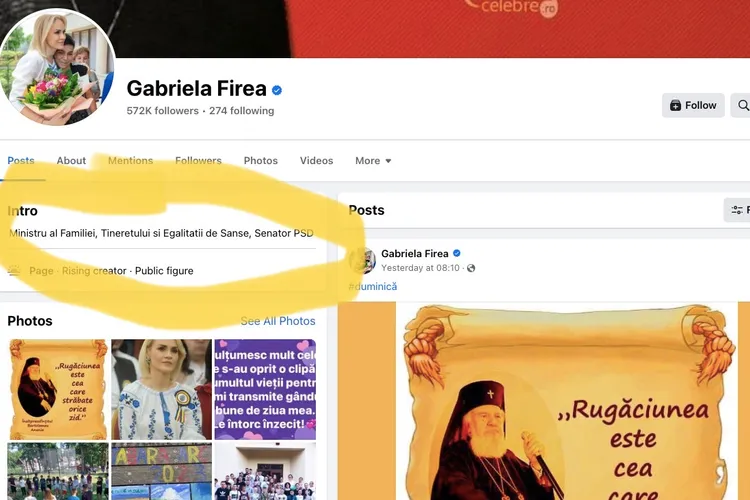 Firea insistă că este încă ministru al Familiei: pagina sa de Facebook menționează și luni, 17 iulie, funcția guvernamentală. Demisia i-a fost oficializată prin decret pe 14 iulie