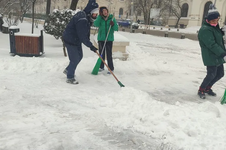 Bugetul astronomic pe care îl au primăriile de sector pentru salubrizare Foto: Facebook