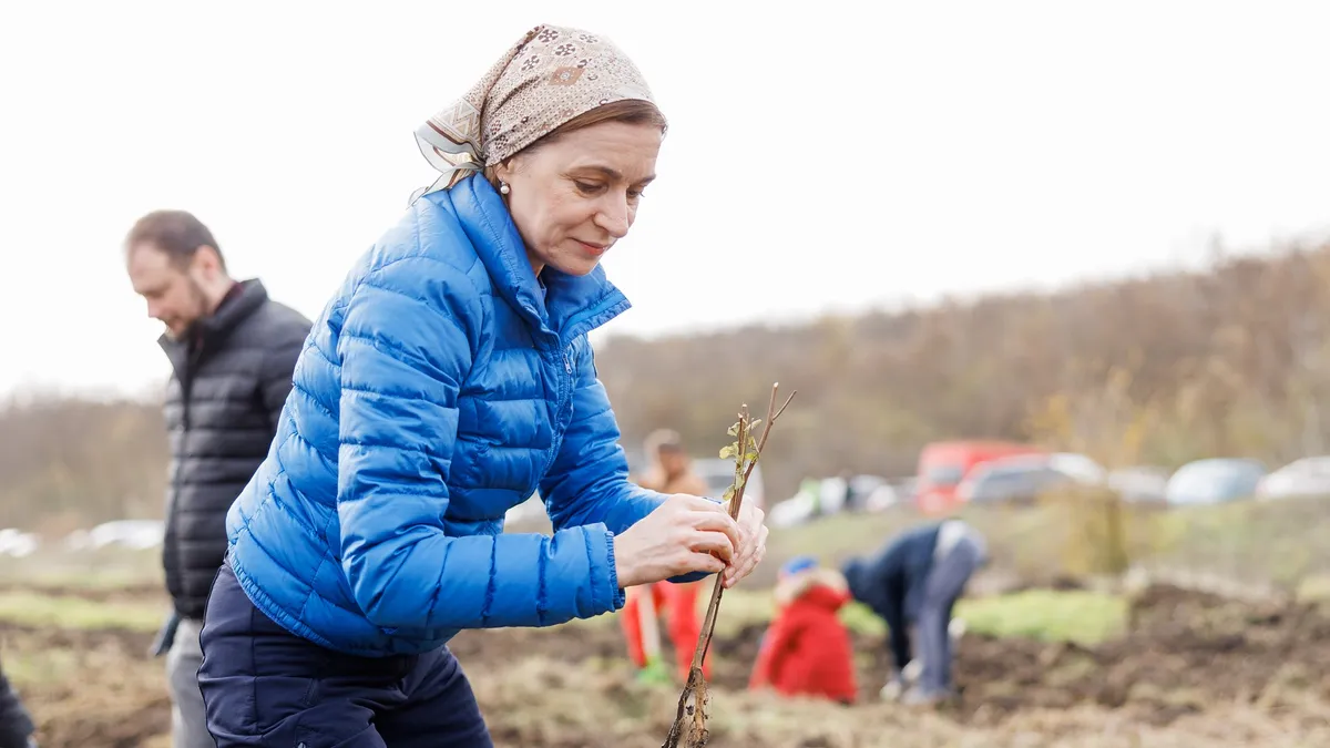 Maia Sandu, nou apel ca românii să voteze formațiunile pro-europene Foto: Facebook