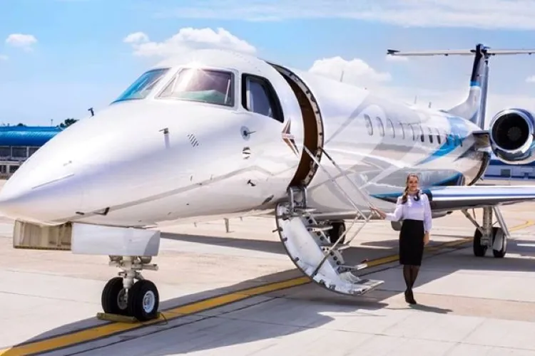 Cu ce avioane au zburat Băluță, Manole și Deliorga: jet-uri de lux, cu însoțitoare de zbor, puteau să-și plimbe și cățeii