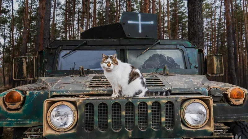 Ucraina rezistă șase luni fără SUA (sursa: Facebook/General Staff of the Armed Forces of Ukraine)