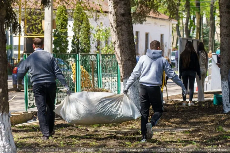 Munca în folosul comunității, pentru toți (sursa: ziaruldeiasi.ro)