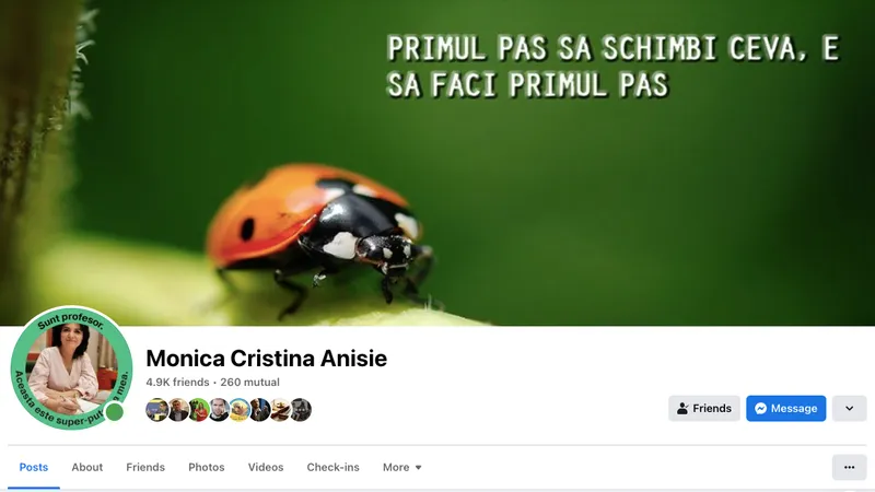 Profesoara de română Anisie, greșeli gramaticale (sursa: Facebook/Monica Cristina Anisie)