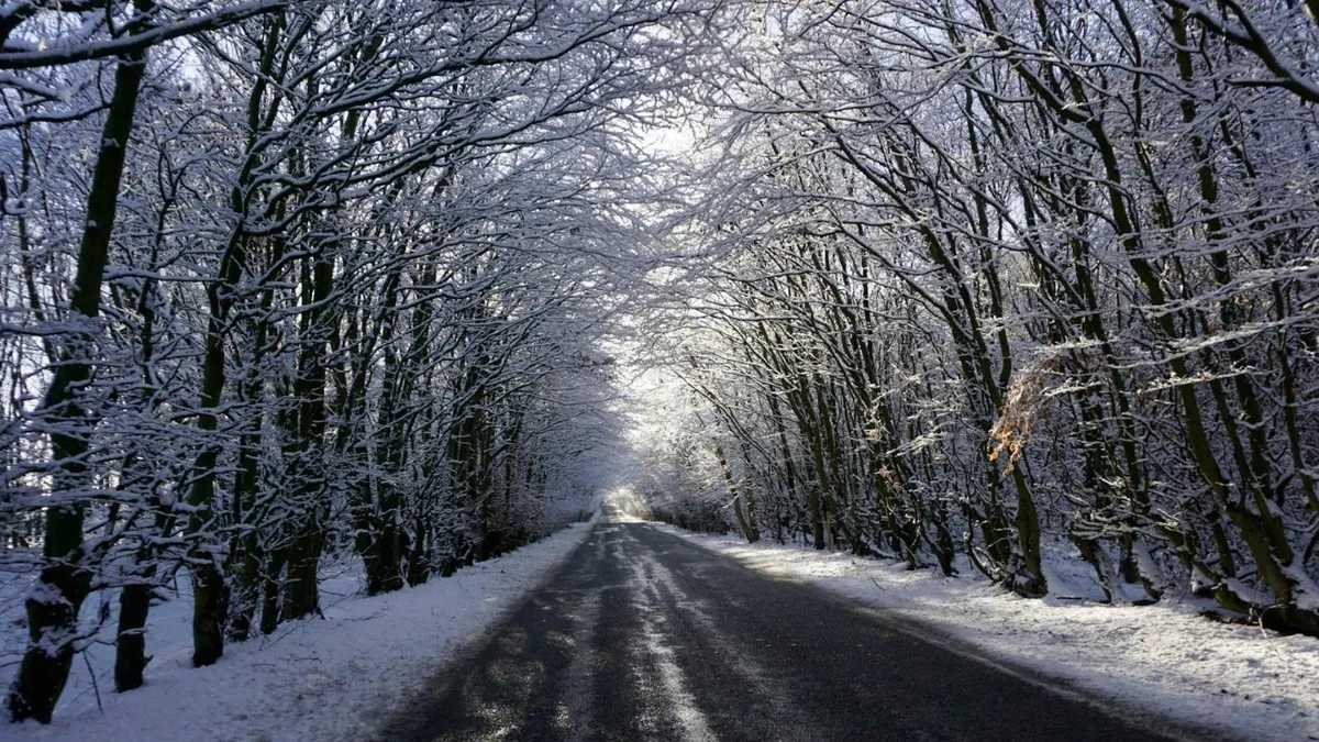 Februarie, ger și ninsori în toată țara (sursa: Pexels/Damien Wright)