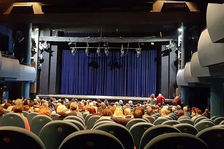 Delapidare de fonduri la Teatrul Bulandra (sursa: bulandra.ro)