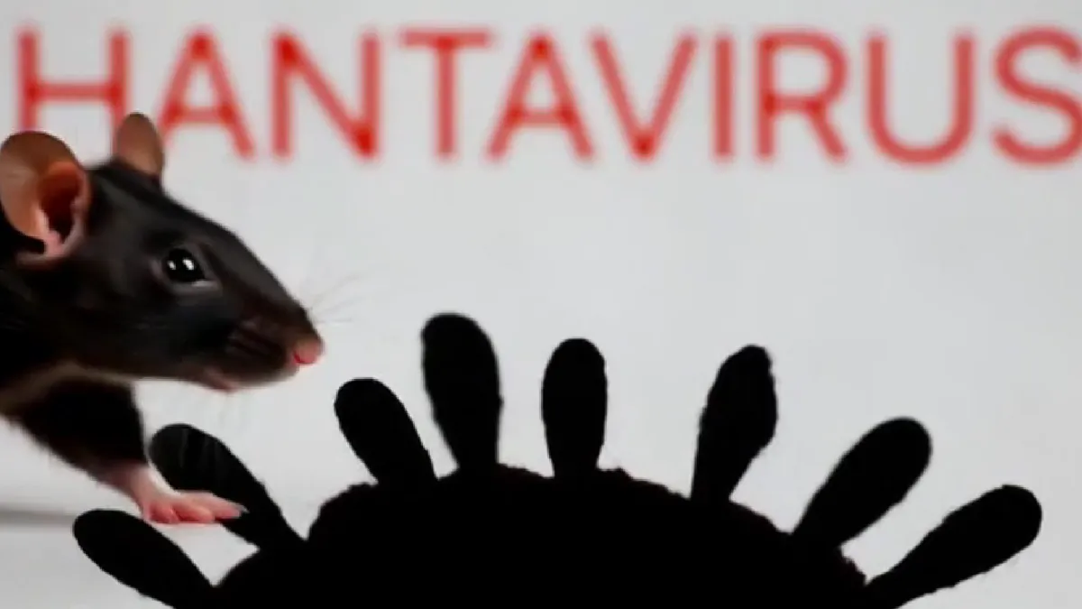 Hantavirusul, tranmis prin rozătoare sălbatice Foto: captură video X/Twitter