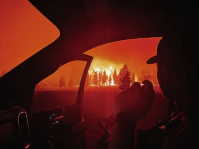 Incendiile de vegetaţie, cauzate de energiile fosile Foto: Twitter