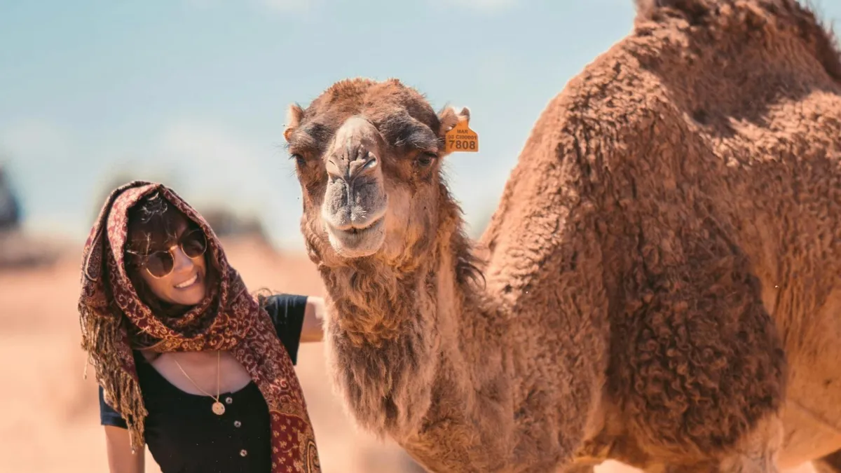 Vacanță cu peripeții, mușcături periculoase (sursa: Pexels/Taryn Elliott)