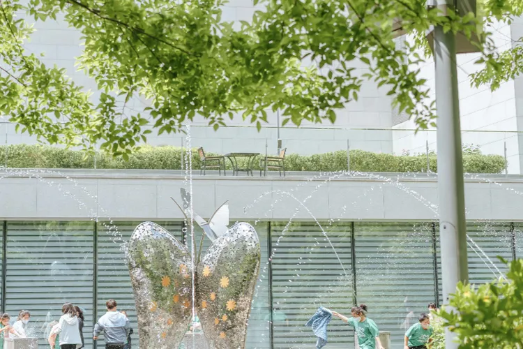 Tinerii bulgari vor în companii "verzi" (sursa: pexels.com)