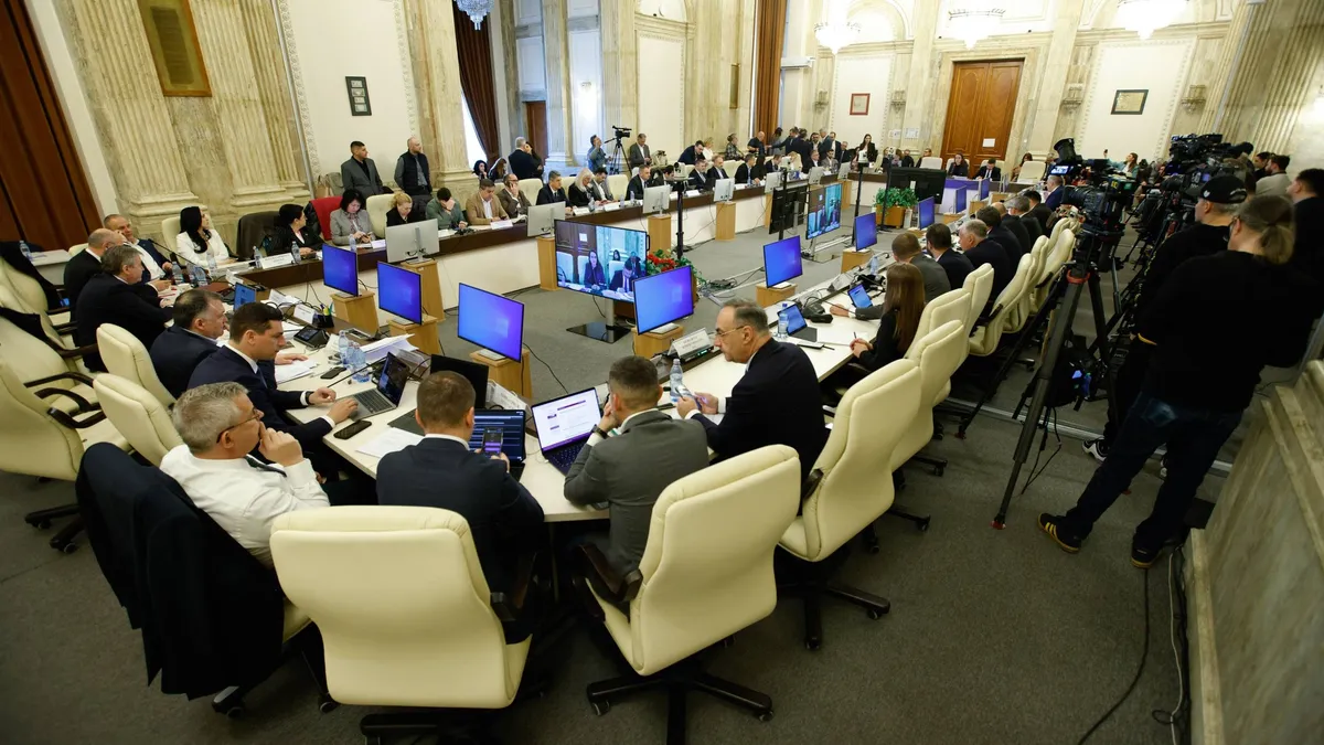 Pachetul de solidaritate, scandal în Parlament (sursa: Facebook/Oana Țoiu)