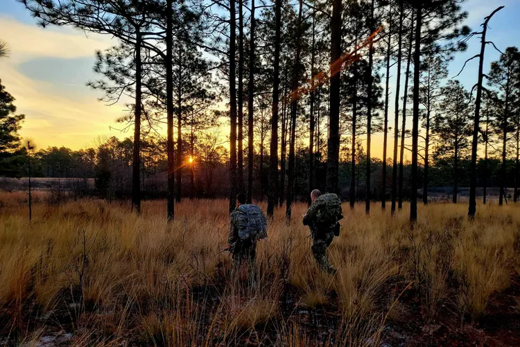 Pentagonul cere bani pentru operațiuni ultrasecrete în Ucraina Foto: U.S. Army Special Operations Command