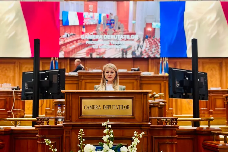 Demisionarii POT vor consultări la Cotroceni (sursa: Facebook/Aurora Tasica Simu)