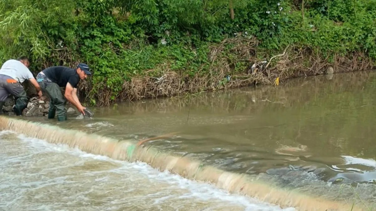 Salinitate crescută în râul Târnava Mică (sursa: Facebook/Ministerul Mediului)