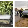 Succes major al poliției Jibou, care pus capăt traficului cu măceșe. Marfa, de 1.700 lei, confiscată