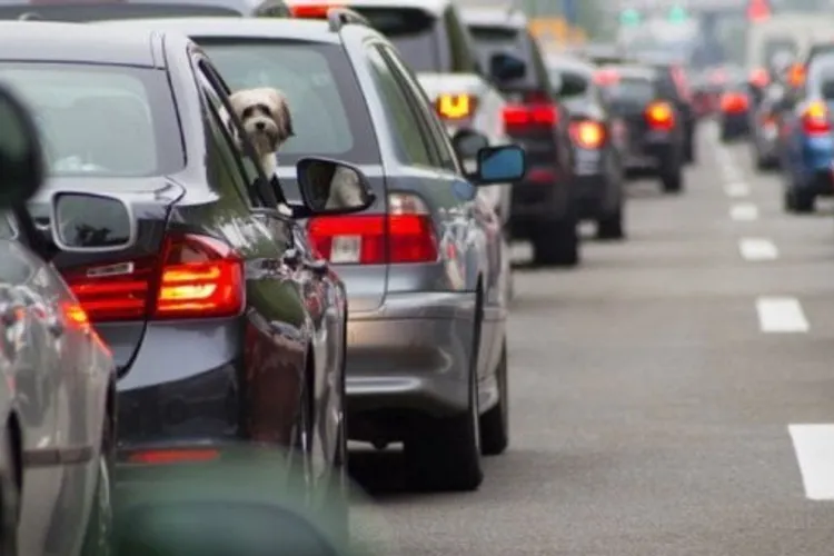 Primăria creşte impozitele, taxele, tarifele parcărilor (sursa: ziaruldeiasi.ro)