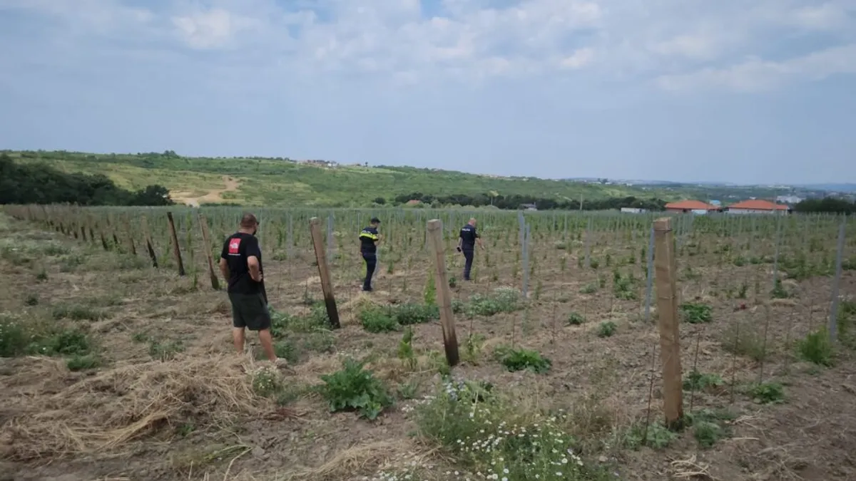 Hoții cu căruța distrug proiectul european (sursa: ziaruldeiasi.ro)