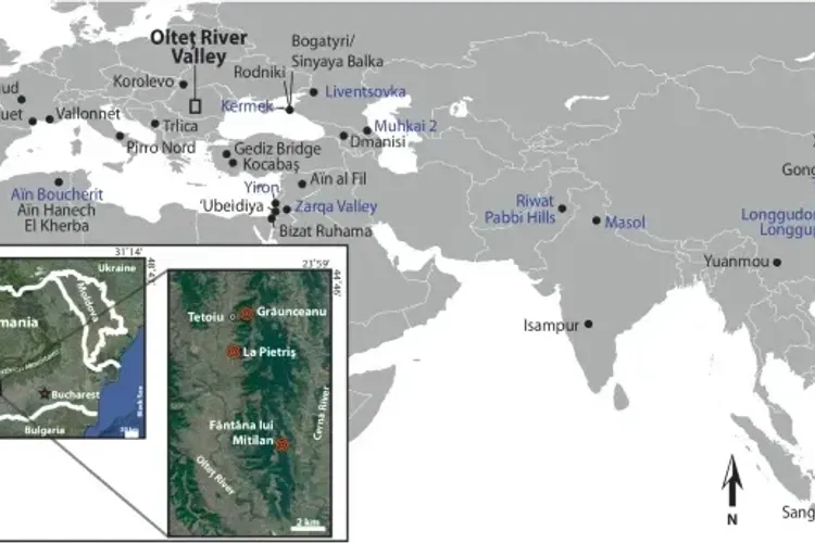 Homo Olteniensis, noua vedetă a antropologiei (sursa: nature.com)