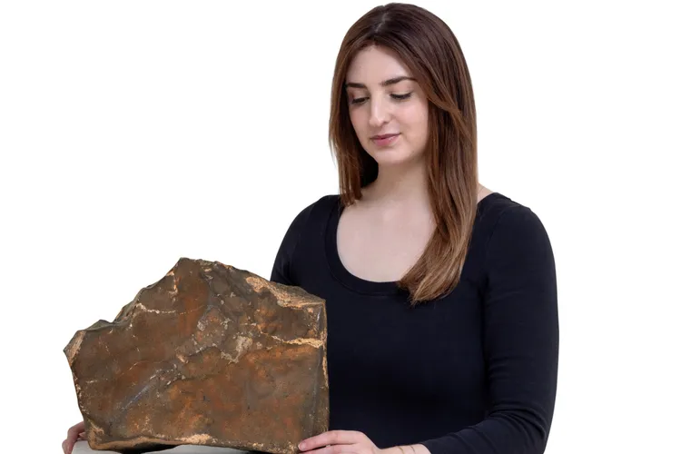 Rocă de pe Marte, la licitație (sursa: sothebys.com)