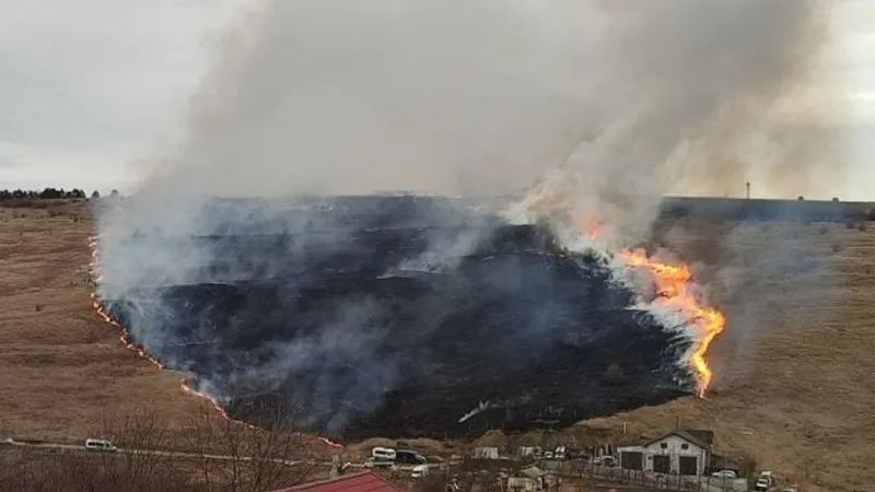 Miriștile incendiate costă enorm, strică pământul (sursa: ziaruldeiasi.ro)