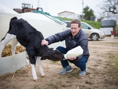 Facebook și Instagram ascund mesajele presei și ale politicienilor Foto: Facebook Mark Zuckerberg