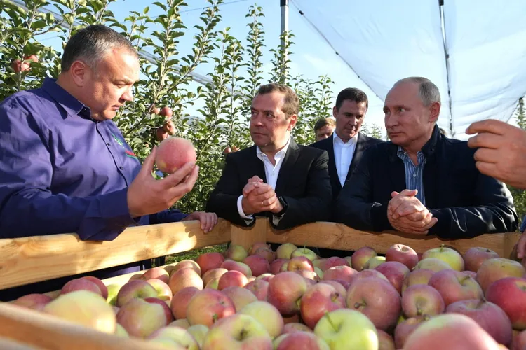 Oamenii lui Putin s-au împroprietărit cu forța  Foto: kremlin.ru