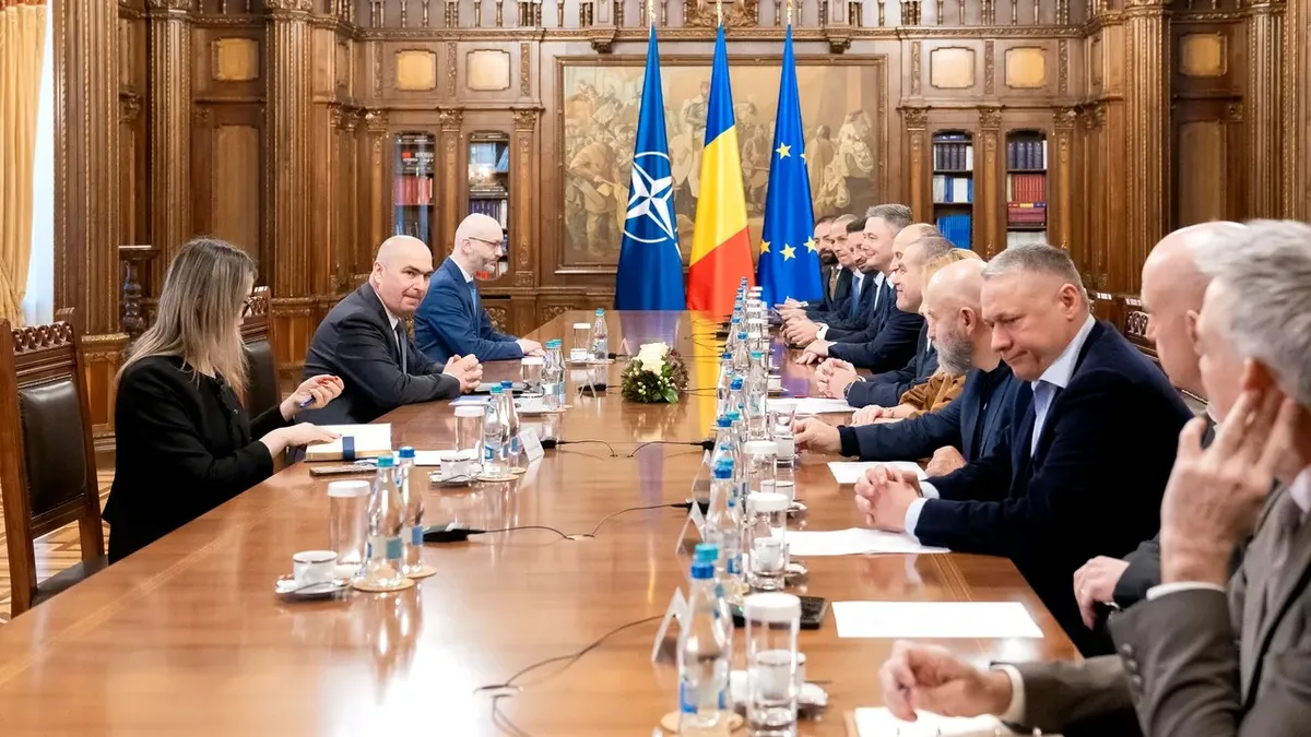 Pauliuc cere transparență în decizii economice (sursa: Facebook/Nicoleta Pauliuc)