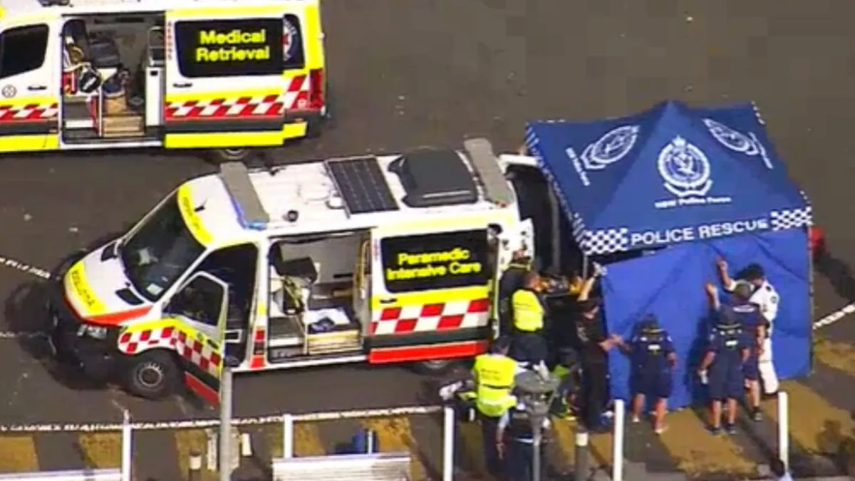 Adolescent atacat de rechin în portul Sydney (sursa: Sky News)