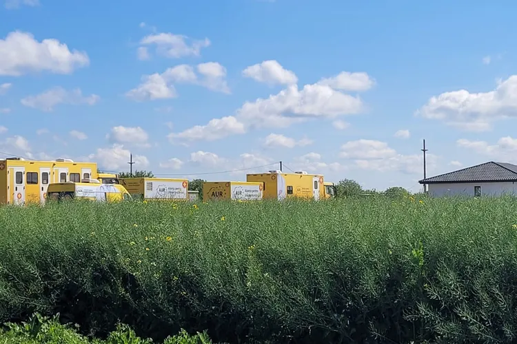 Camioanele caravanei medicale AUR, abandonate pe un câmp din Ilfov Foto: Facebook Cynthia Păun