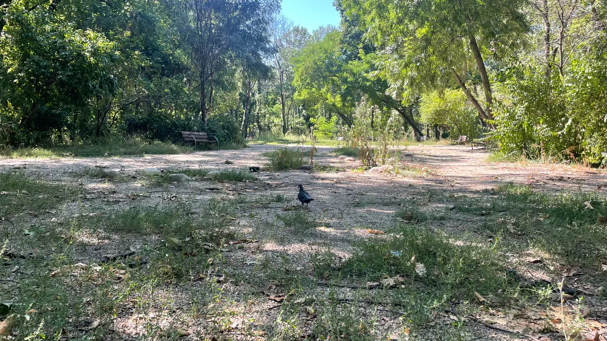 Parcul Herăstrău, un maidan prăfuit, abandonat