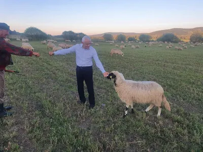 PSD i-a oferit o sinecură lui Daea Foto: Facebook