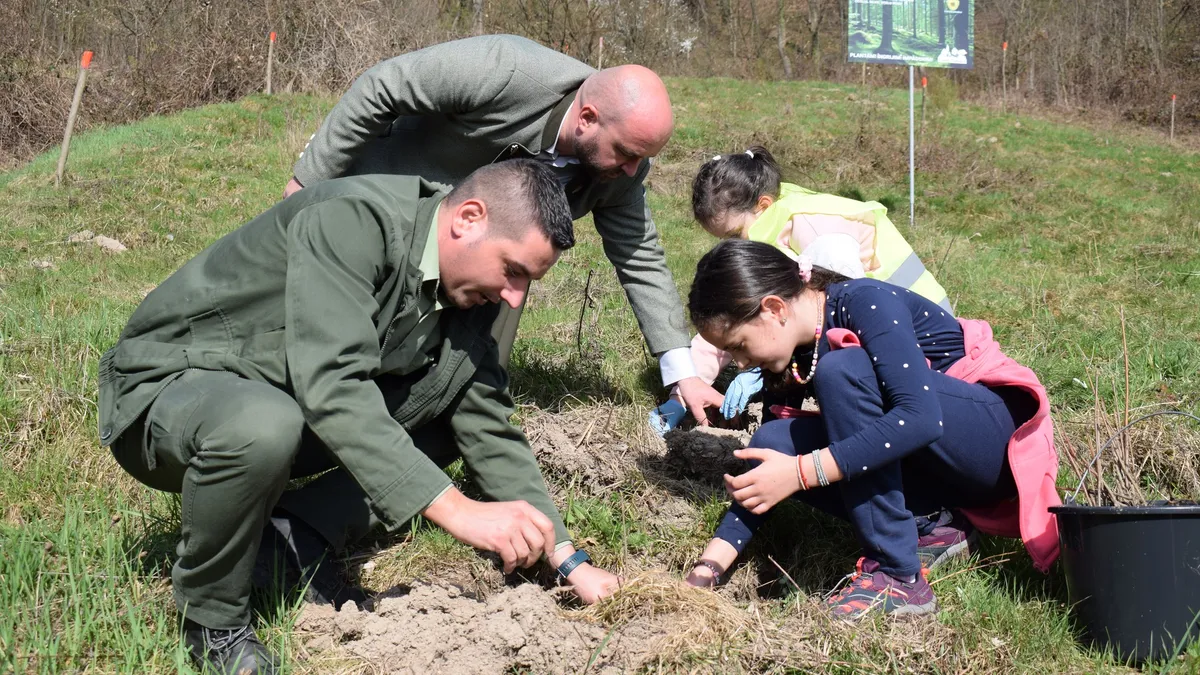 Fulop contestă existenţa unei crize de puieţi Foto: Romsilva