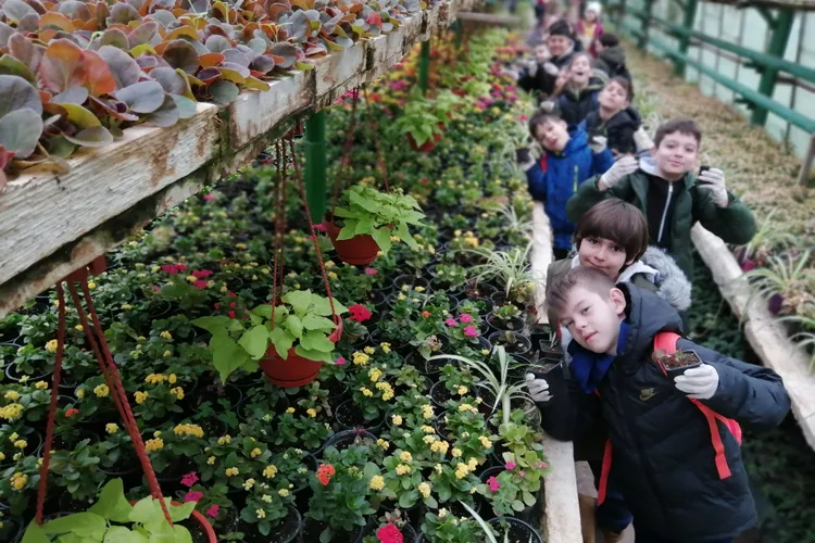 Primăria Sectorului 6 plantează aproximativ un milion de flori Foto: Facebook Primaria Sectorului 6