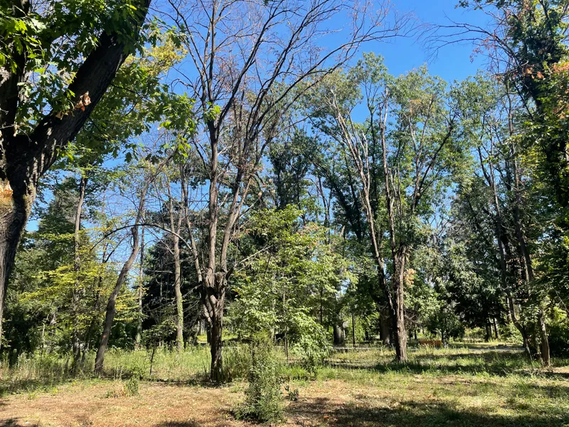 Parcul Herăstrău, un maidan prăfuit, abandonat