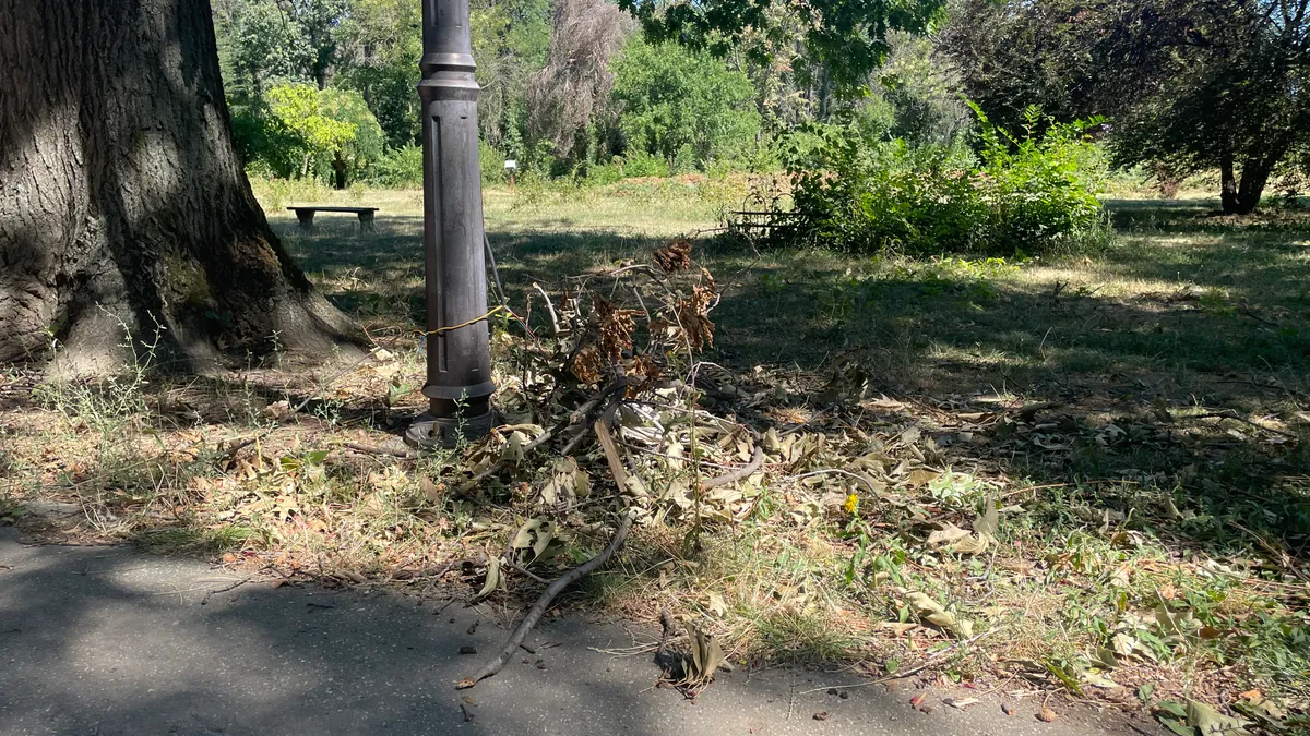 Parcul Herăstrău, un maidan prăfuit, abandonat
