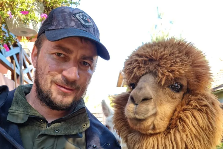 Alpaca lui Godină gâfâie în afaceri (sursa: Facebook/Marian Godina)