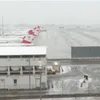 Poleiul paralizează traficul aerian în Europa (sursa: youtube/DRM News)