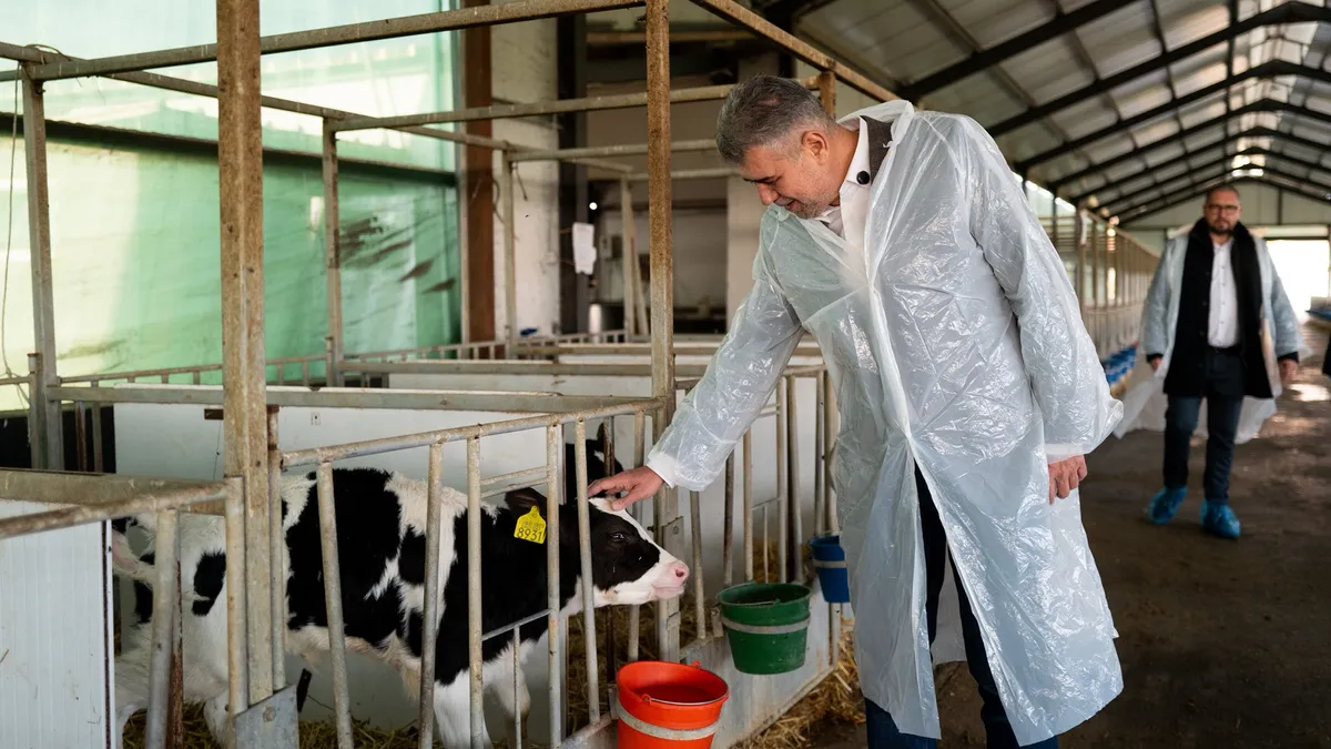 Ciolacu cere DNA-ului să-l ancheteze pe Bolojan Foto: Facebook