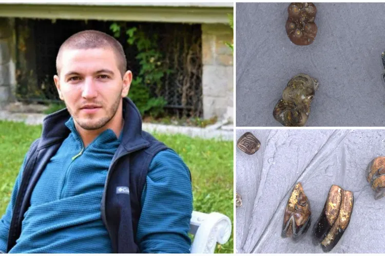 România preistorică, hiene și climat de savană (sursa: ziaruldeiasi.ro)