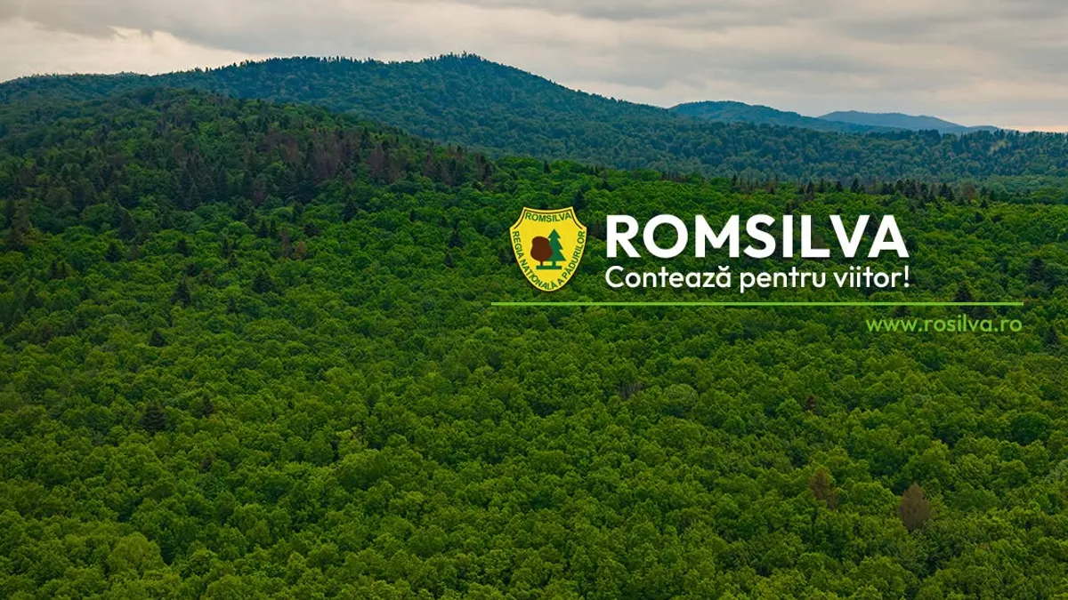 Romsilva oferă sindicaliștilor nu doar mașini gratuite, ci și sedii